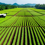 **

A vibrant, modern organic farm in Malaysia showcasing "smart farming" technology. Drone flying overhead inspecting crops, soil sensors visible in the fields, and farmers using tablets to analyze data. Focus on lush green plants and a sunny, productive atmosphere.

**